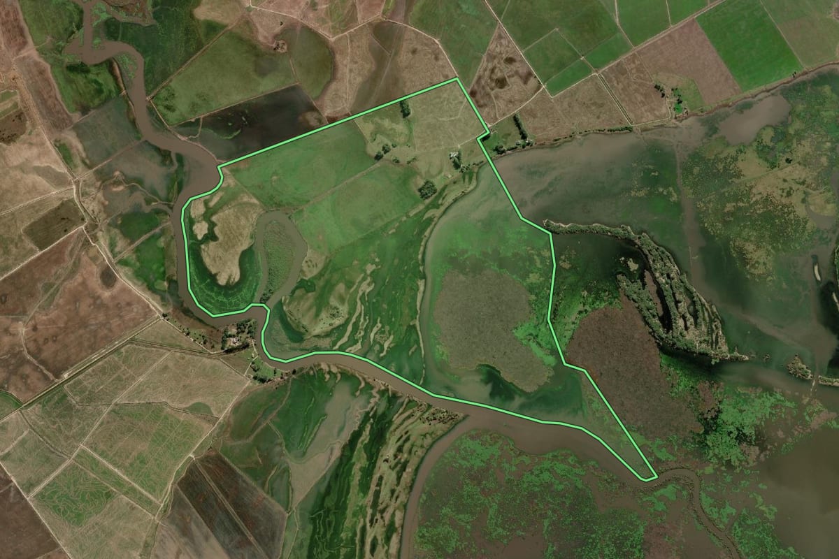 Imagem de satélite do imóvel rural em Arroio Grande (RS), com o contorno declarado no CAR desenhado por cima.