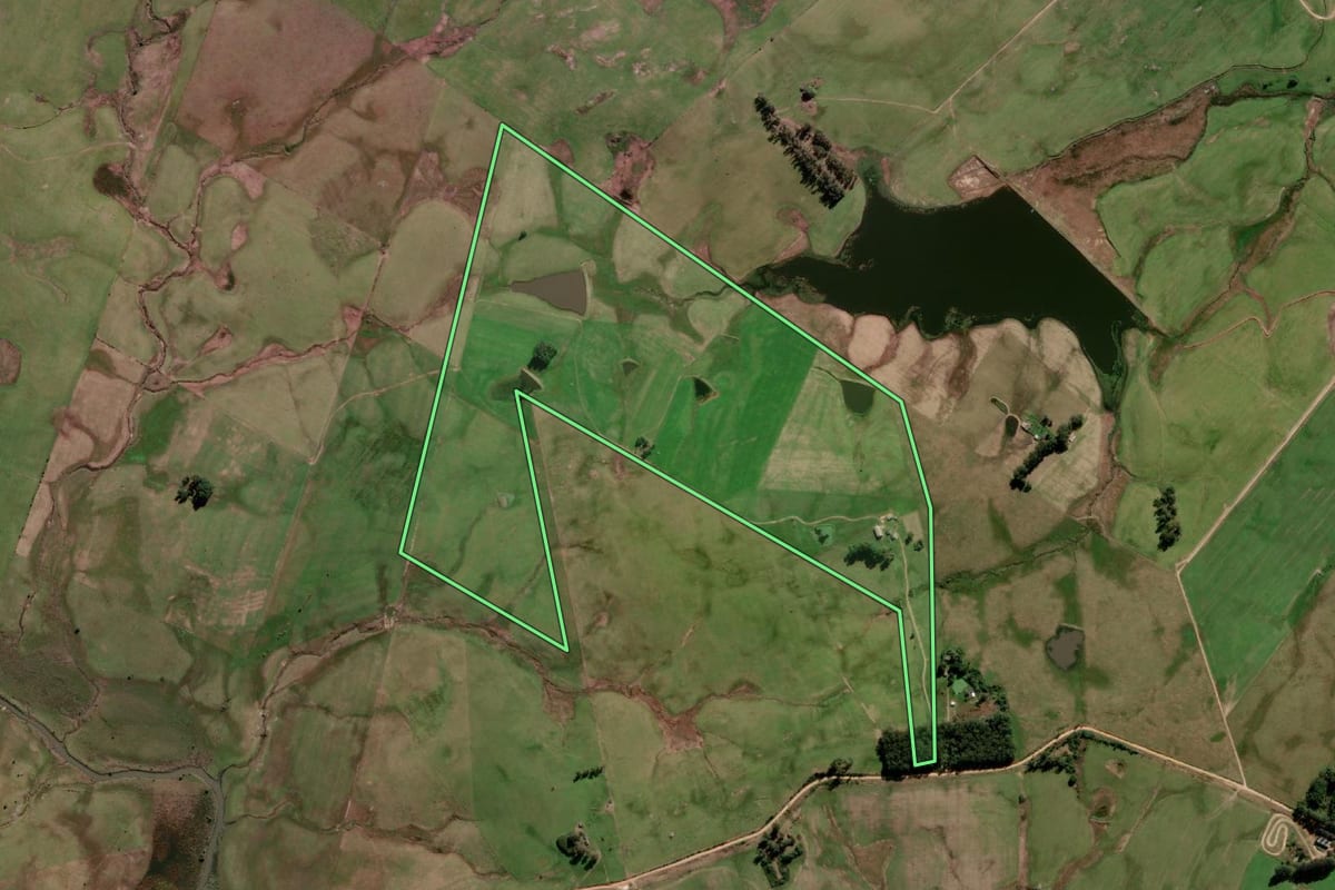 Imagem de satélite do imóvel rural em Arroio Grande (RS), com o contorno declarado no CAR desenhado por cima.