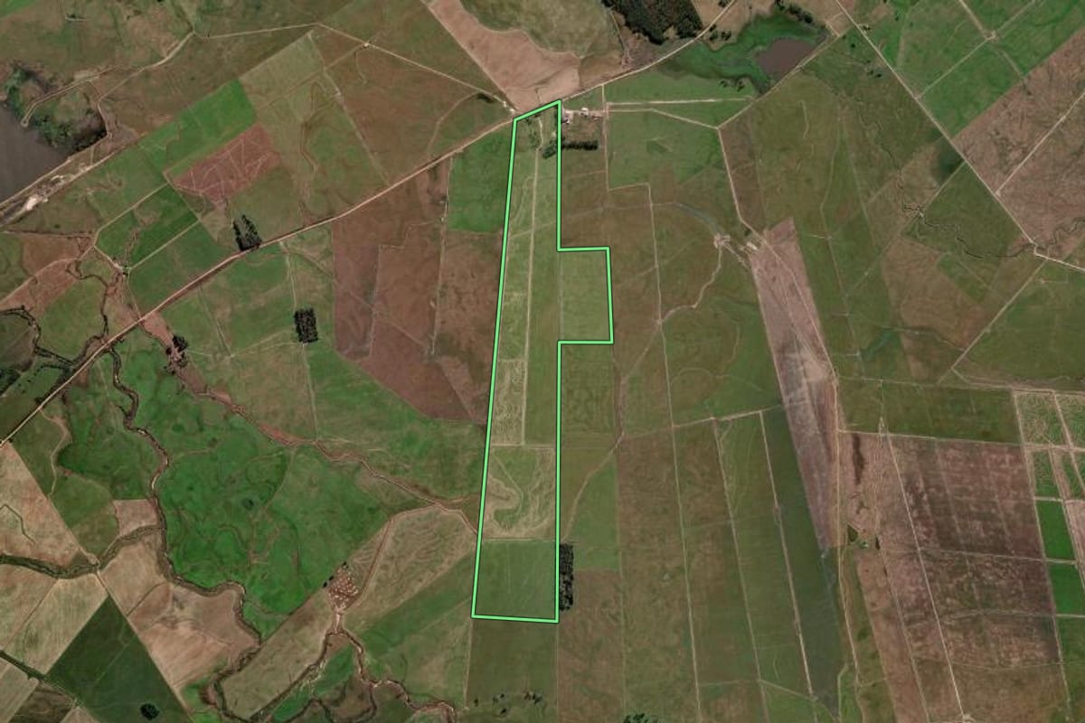 Imagem de satélite do imóvel rural em Arroio Grande (RS), com o contorno declarado no CAR desenhado por cima.