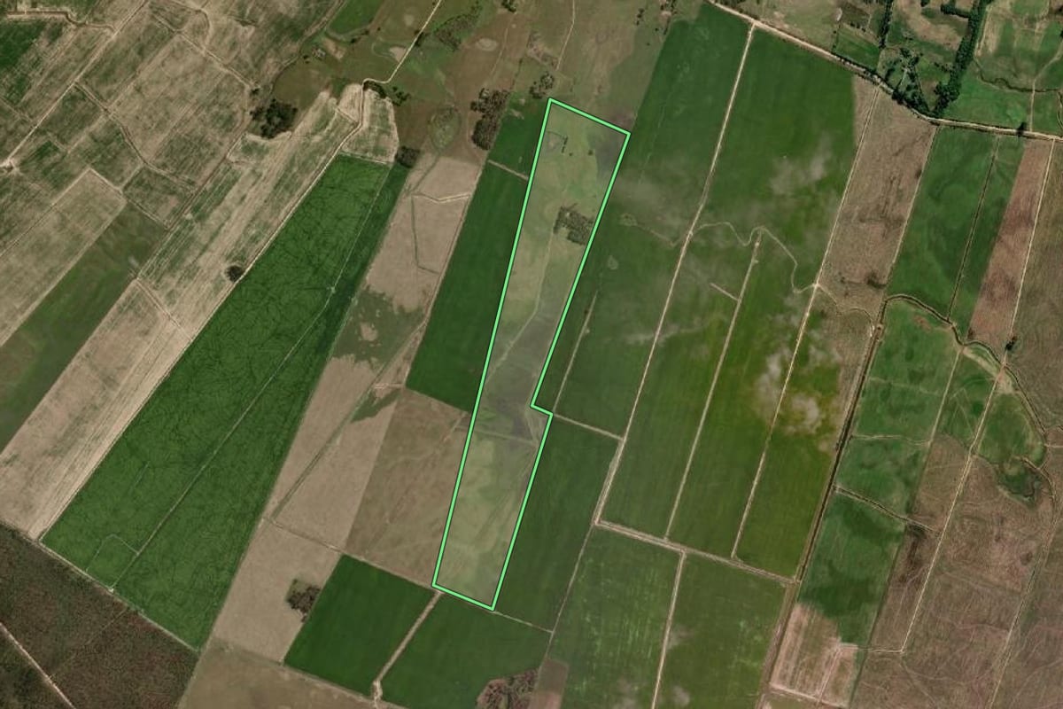 Imagem de satélite do imóvel rural em Arroio Grande (RS), com o contorno declarado no CAR desenhado por cima.