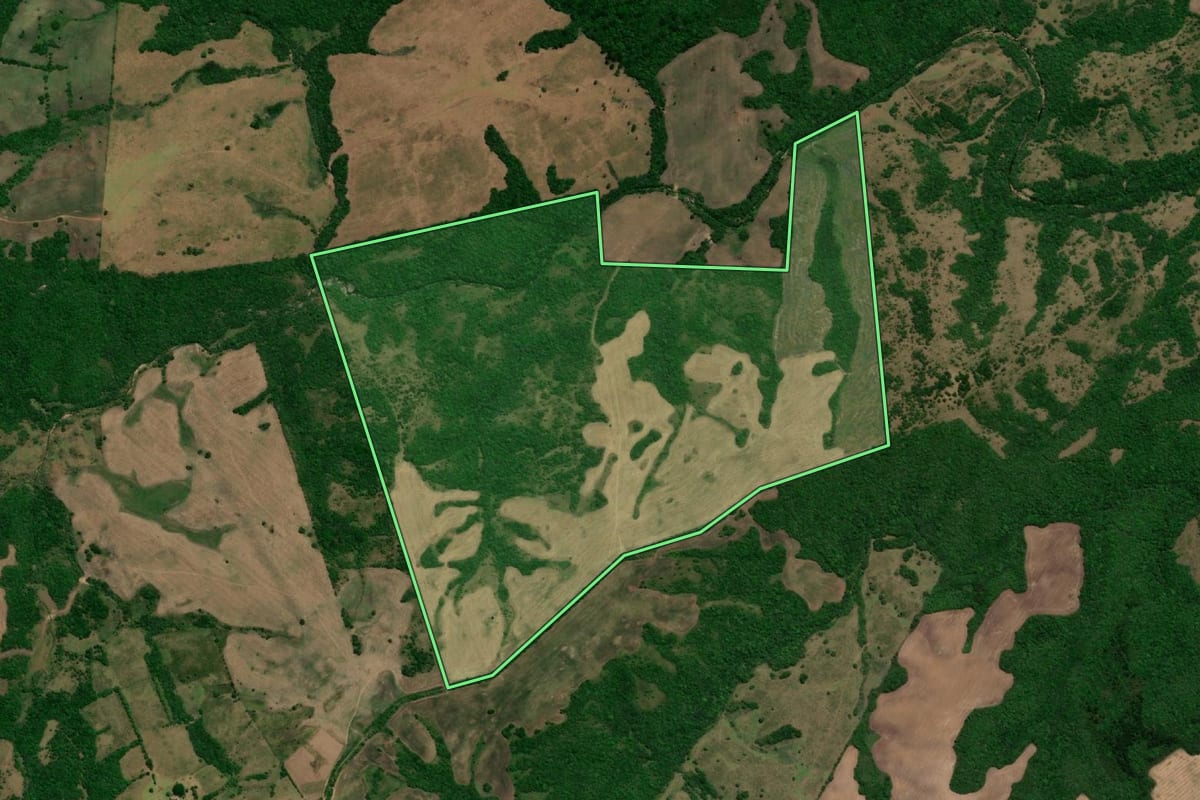 Imagem de satélite do imóvel rural em Arroio Grande (RS), com o contorno declarado no CAR desenhado por cima.