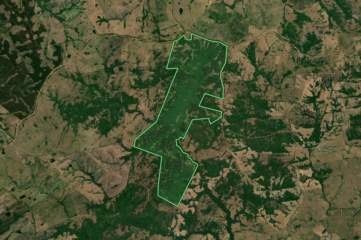 Imagem de satélite do imóvel rural em Arroio Grande (RS), com o contorno declarado no CAR desenhado por cima.