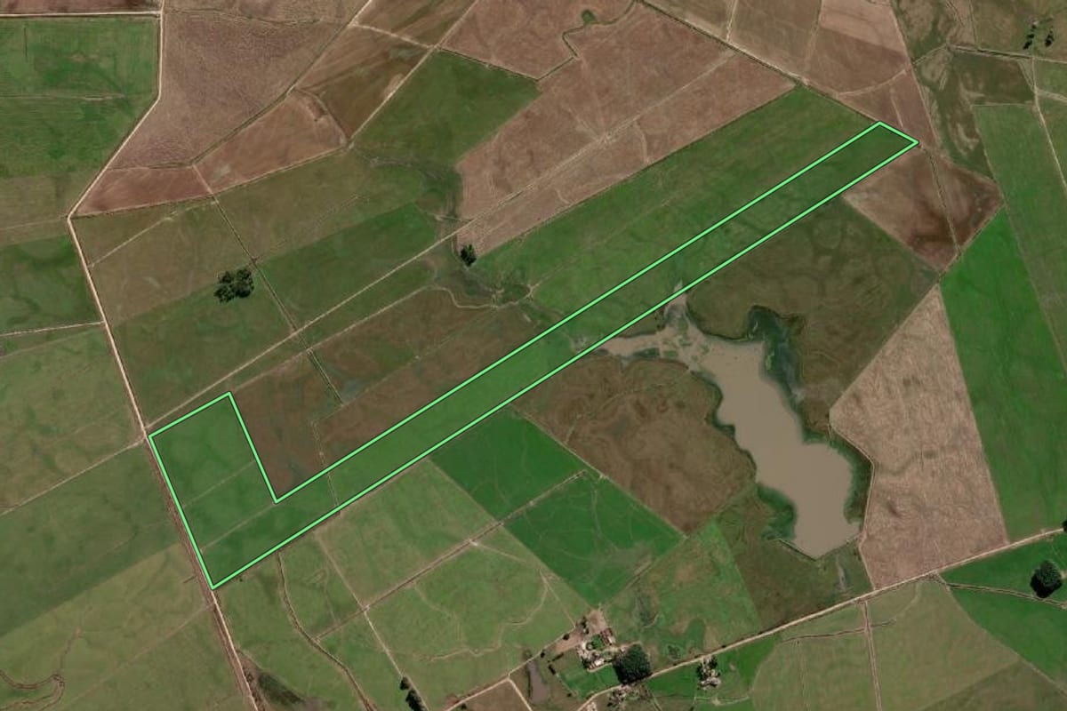 Imagem de satélite do imóvel rural em Arroio Grande (RS), com o contorno declarado no CAR desenhado por cima.
