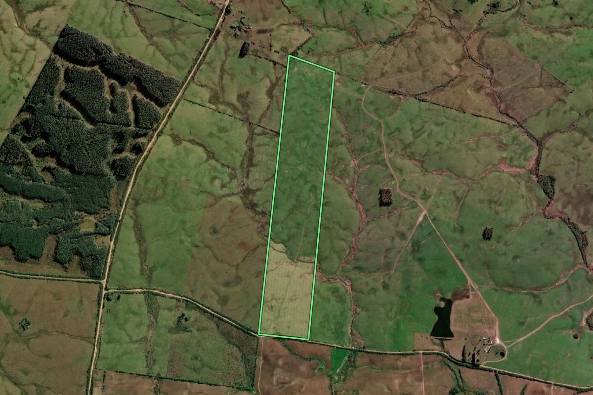 Imagem de satélite do imóvel rural em Arroio Grande (RS), com o contorno declarado no CAR desenhado por cima.