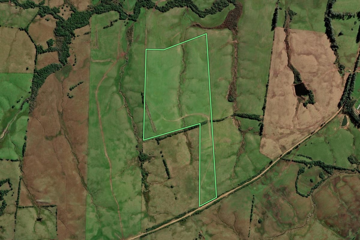 Imagem de satélite do imóvel rural em Arroio Grande (RS), com o contorno declarado no CAR desenhado por cima.
