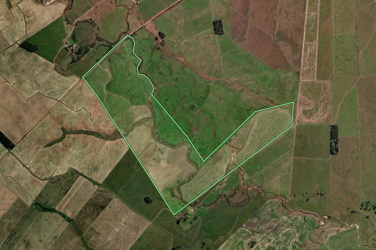 Imagem de satélite do imóvel rural em Arroio Grande (RS), com o contorno declarado no CAR desenhado por cima.