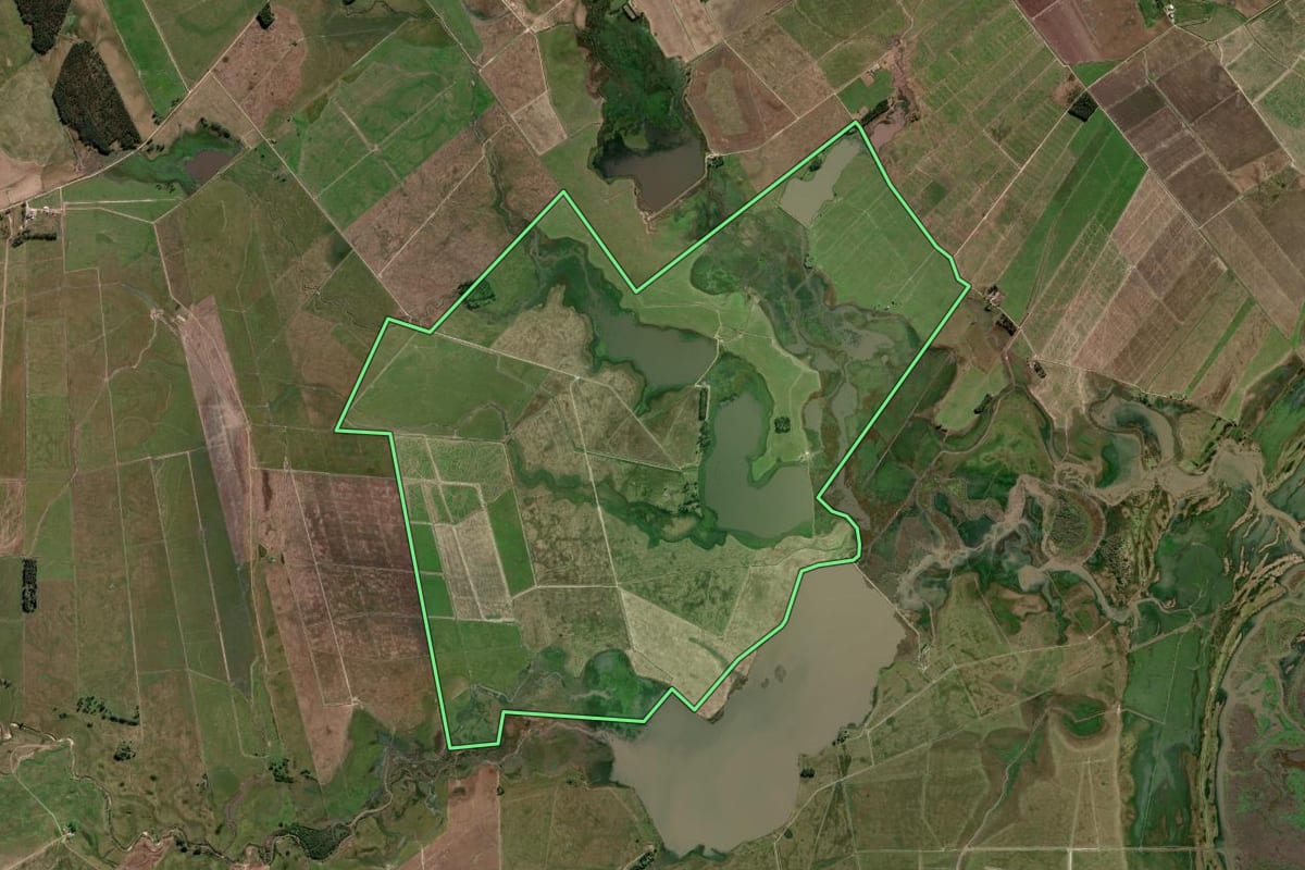 Imagem de satélite do imóvel rural em Arroio Grande (RS), com o contorno declarado no CAR desenhado por cima.