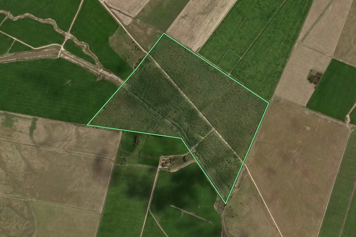 Imagem de satélite do imóvel rural em Arroio Grande (RS), com o contorno declarado no CAR desenhado por cima.