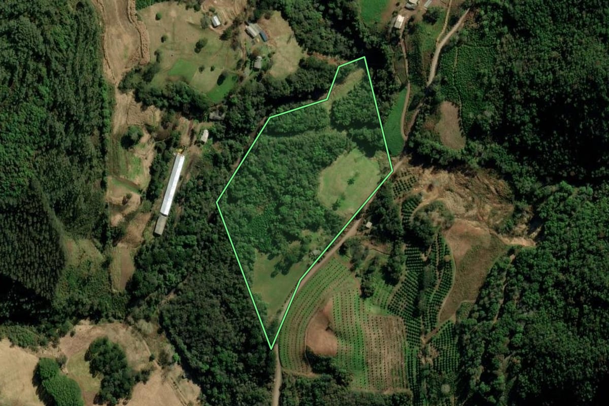 Imagem de satélite do imóvel rural em Arvorezinha (RS), com o contorno declarado no CAR desenhado por cima.