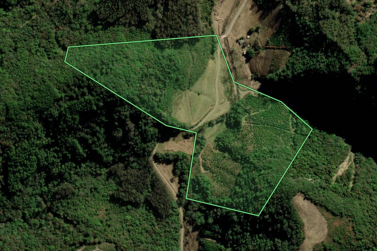 Imagem de satélite do imóvel rural em Arvorezinha (RS), com o contorno declarado no CAR desenhado por cima.