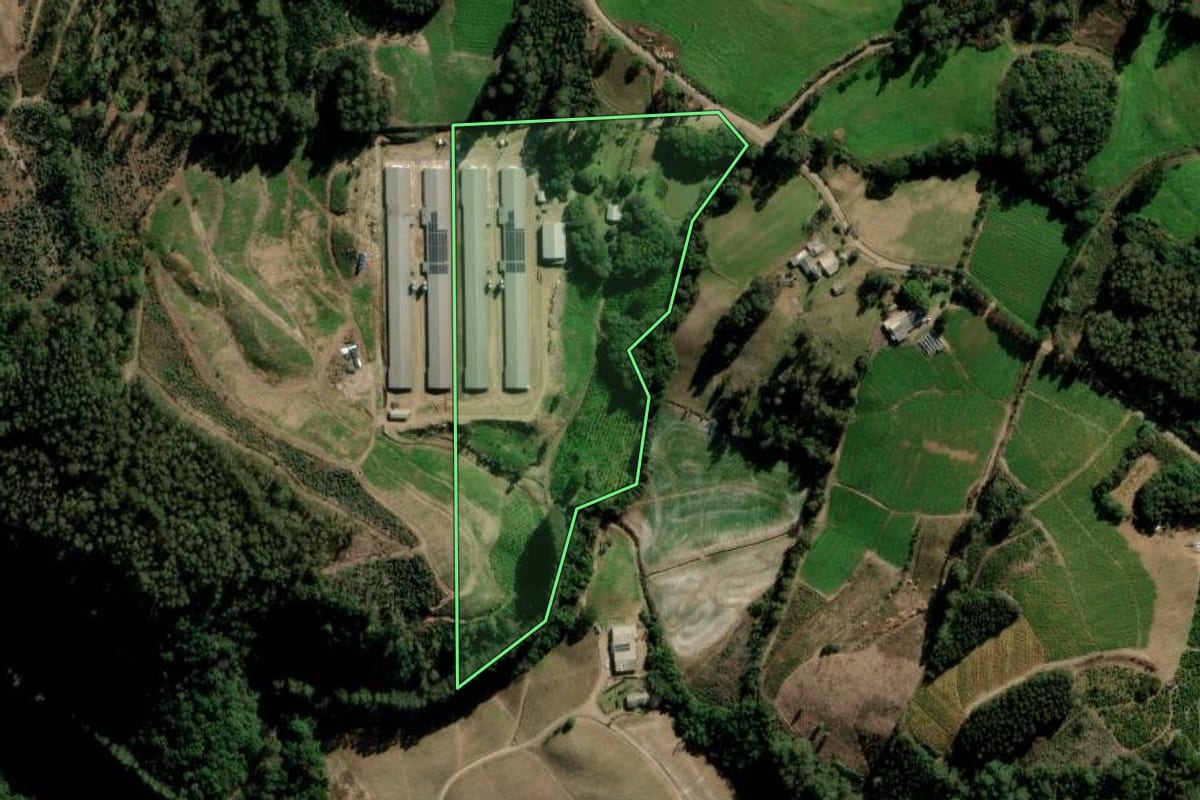 Imagem de satélite do imóvel rural em Arvorezinha (RS), com o contorno declarado no CAR desenhado por cima.