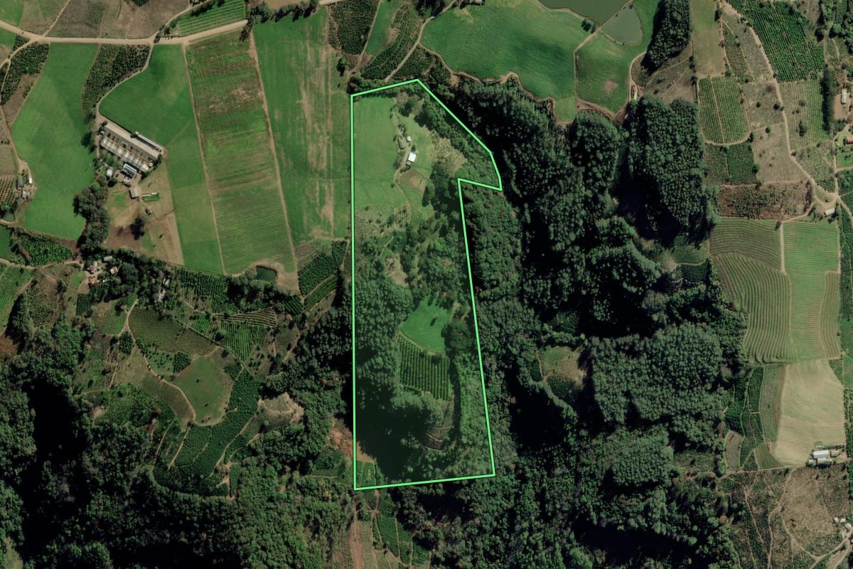 Imagem de satélite do imóvel rural em Arvorezinha (RS), com o contorno declarado no CAR desenhado por cima.
