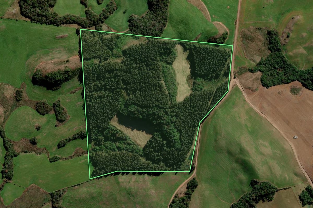 Imagem de satélite do imóvel rural em Arvorezinha (RS), com o contorno declarado no CAR desenhado por cima.