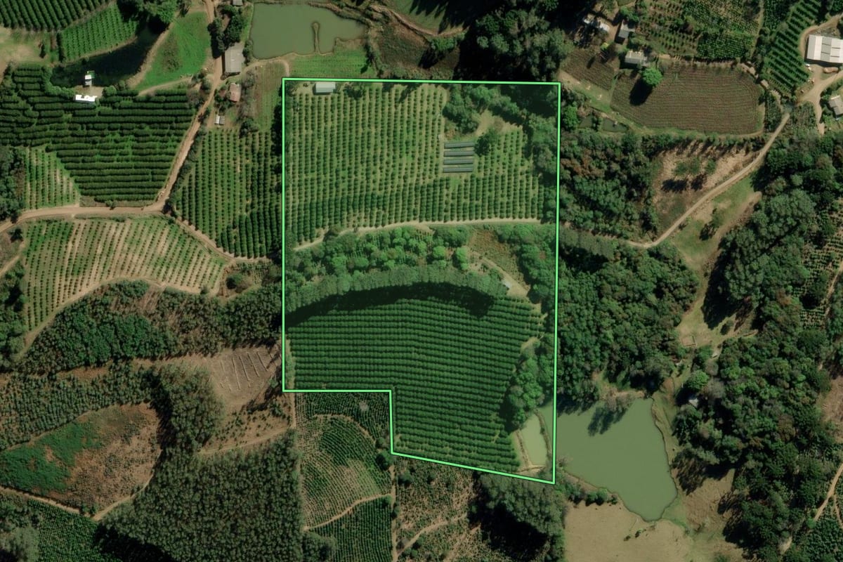 Imagem de satélite do imóvel rural em Arvorezinha (RS), com o contorno declarado no CAR desenhado por cima.