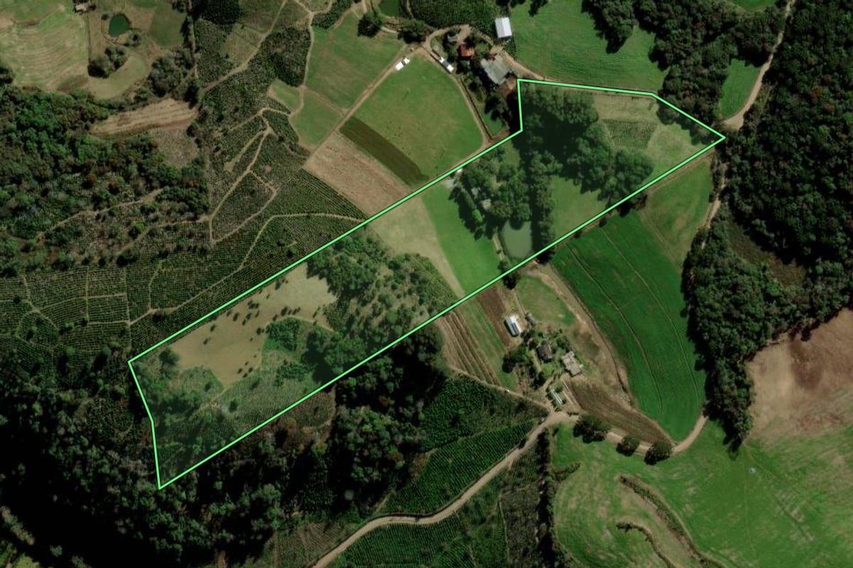 Imagem de satélite do imóvel rural em Arvorezinha (RS), com o contorno declarado no CAR desenhado por cima.