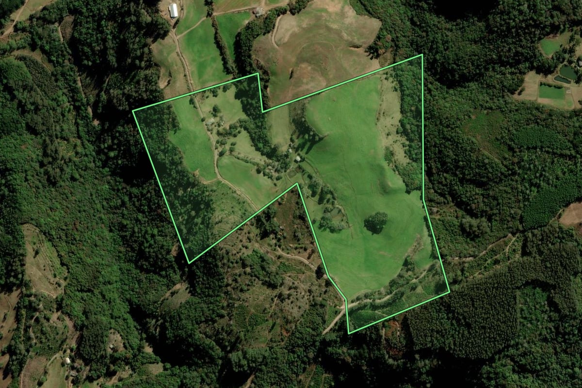 Imagem de satélite do imóvel rural em Arvorezinha (RS), com o contorno declarado no CAR desenhado por cima.