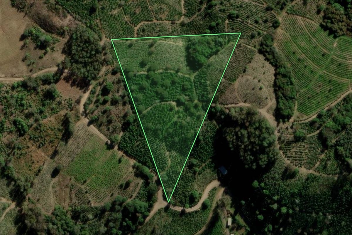 Imagem de satélite do imóvel rural em Arvorezinha (RS), com o contorno declarado no CAR desenhado por cima.