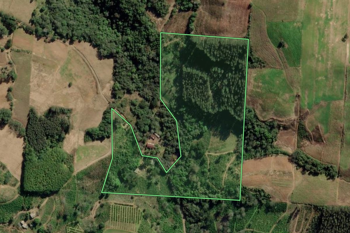 Imagem de satélite do imóvel rural em Arvorezinha (RS), com o contorno declarado no CAR desenhado por cima.