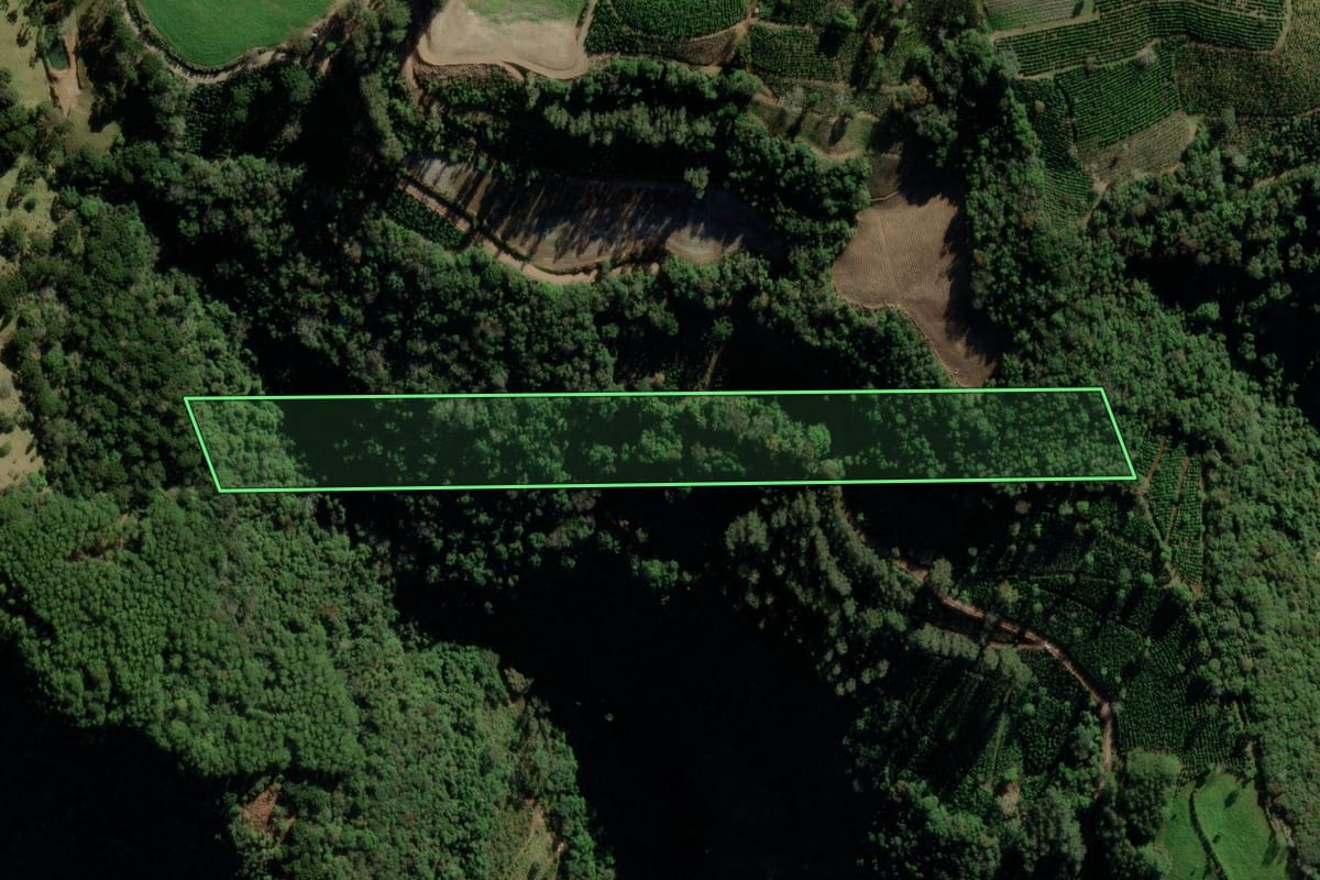 Imagem de satélite do imóvel rural em Arvorezinha (RS), com o contorno declarado no CAR desenhado por cima.