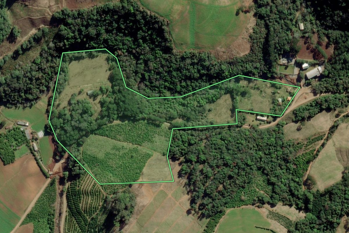 Imagem de satélite do imóvel rural em Arvorezinha (RS), com o contorno declarado no CAR desenhado por cima.