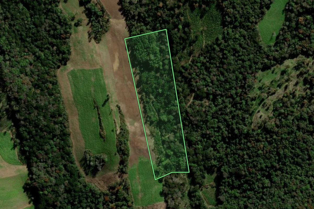 Imagem de satélite do imóvel rural em Arvorezinha (RS), com o contorno declarado no CAR desenhado por cima.