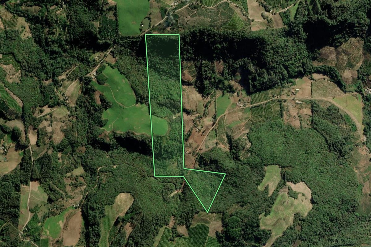 Imagem de satélite do imóvel rural em Arvorezinha (RS), com o contorno declarado no CAR desenhado por cima.