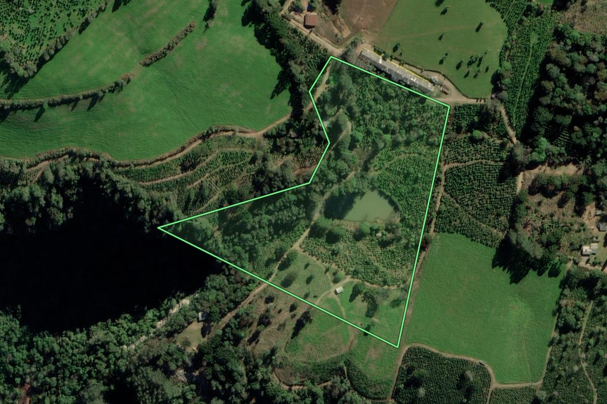 Imagem de satélite do imóvel rural em Arvorezinha (RS), com o contorno declarado no CAR desenhado por cima.