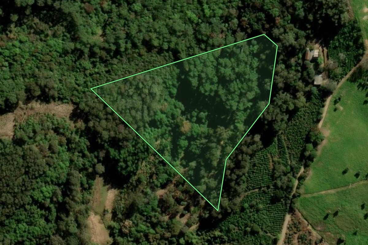 Imagem de satélite do imóvel rural em Arvorezinha (RS), com o contorno declarado no CAR desenhado por cima.