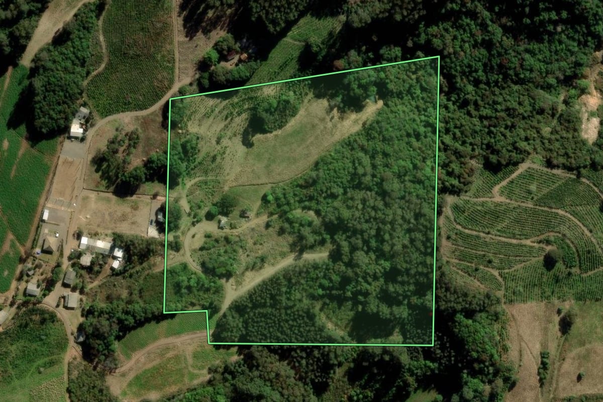 Imagem de satélite do imóvel rural em Arvorezinha (RS), com o contorno declarado no CAR desenhado por cima.