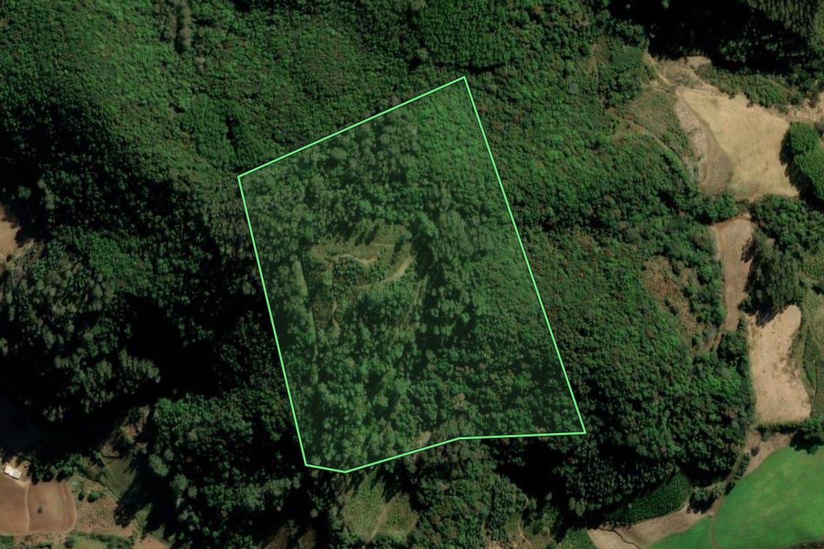 Imagem de satélite do imóvel rural em Arvorezinha (RS), com o contorno declarado no CAR desenhado por cima.