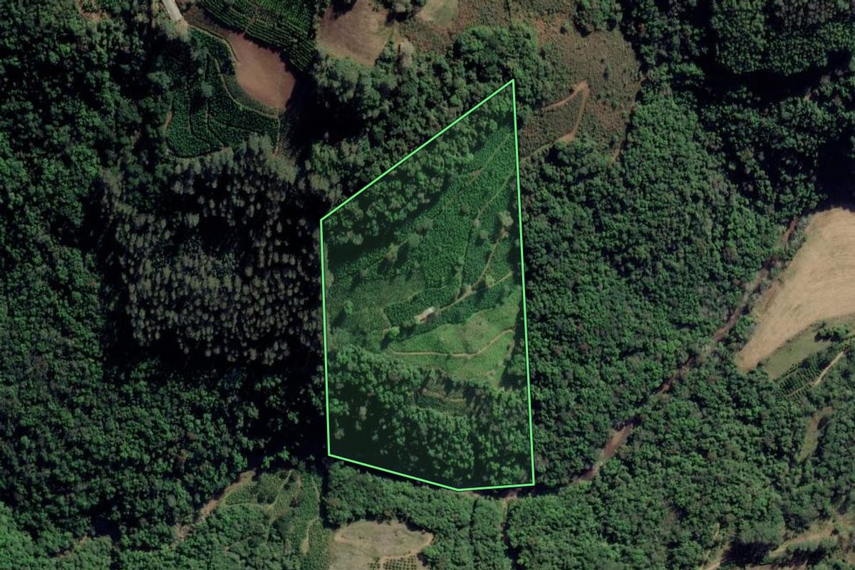 Imagem de satélite do imóvel rural em Arvorezinha (RS), com o contorno declarado no CAR desenhado por cima.