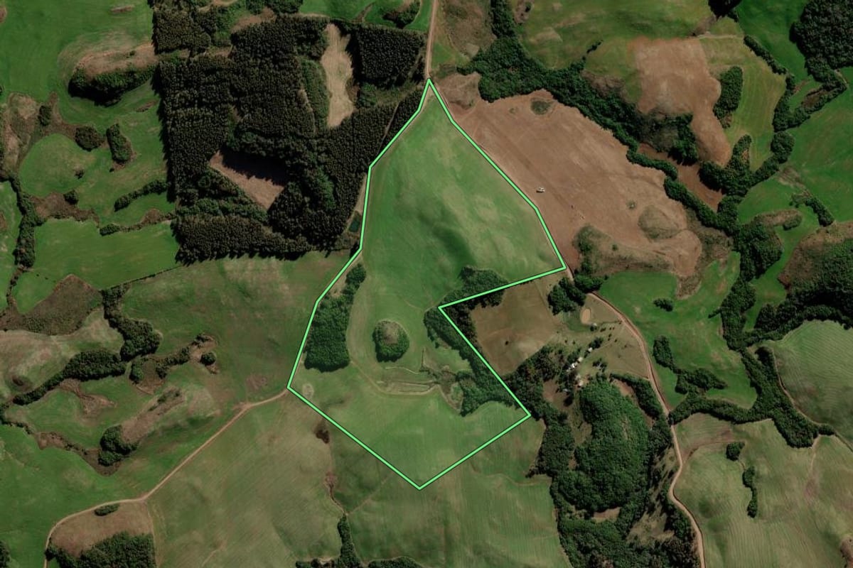 Imagem de satélite do imóvel rural em Arvorezinha (RS), com o contorno declarado no CAR desenhado por cima.