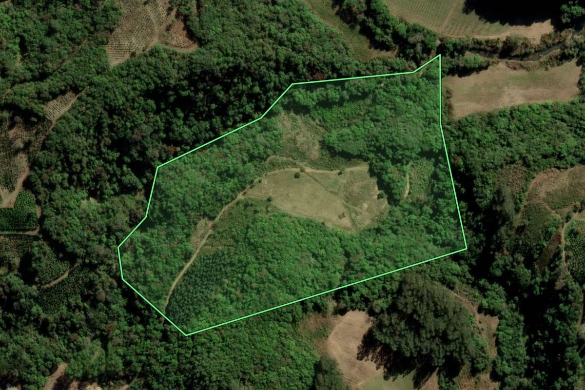 Imagem de satélite do imóvel rural em Arvorezinha (RS), com o contorno declarado no CAR desenhado por cima.
