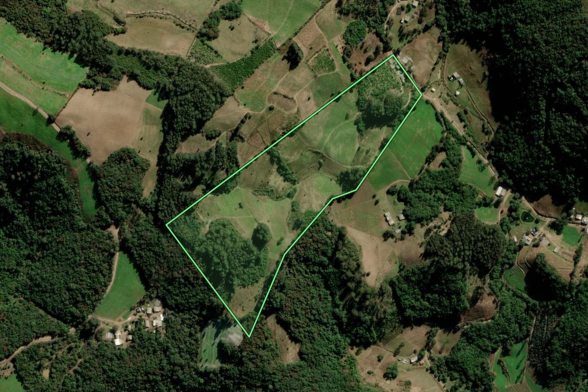 Imagem de satélite do imóvel rural em Arvorezinha (RS), com o contorno declarado no CAR desenhado por cima.