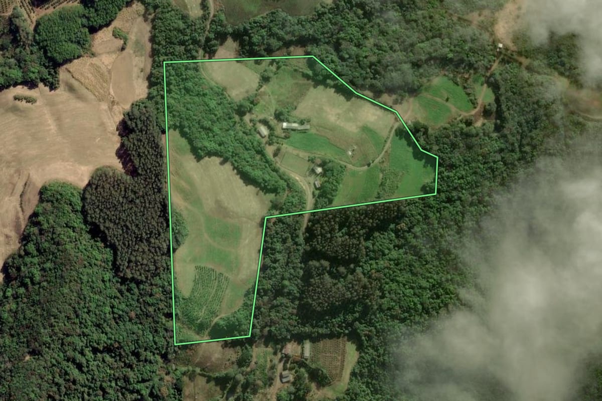 Imagem de satélite do imóvel rural em Arvorezinha (RS), com o contorno declarado no CAR desenhado por cima.