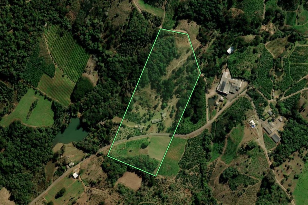 Imagem de satélite do imóvel rural em Arvorezinha (RS), com o contorno declarado no CAR desenhado por cima.
