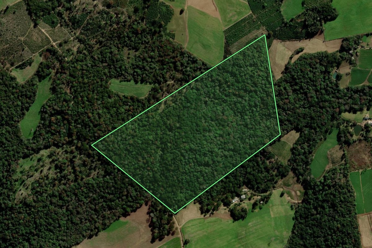 Imagem de satélite do imóvel rural em Arvorezinha (RS), com o contorno declarado no CAR desenhado por cima.