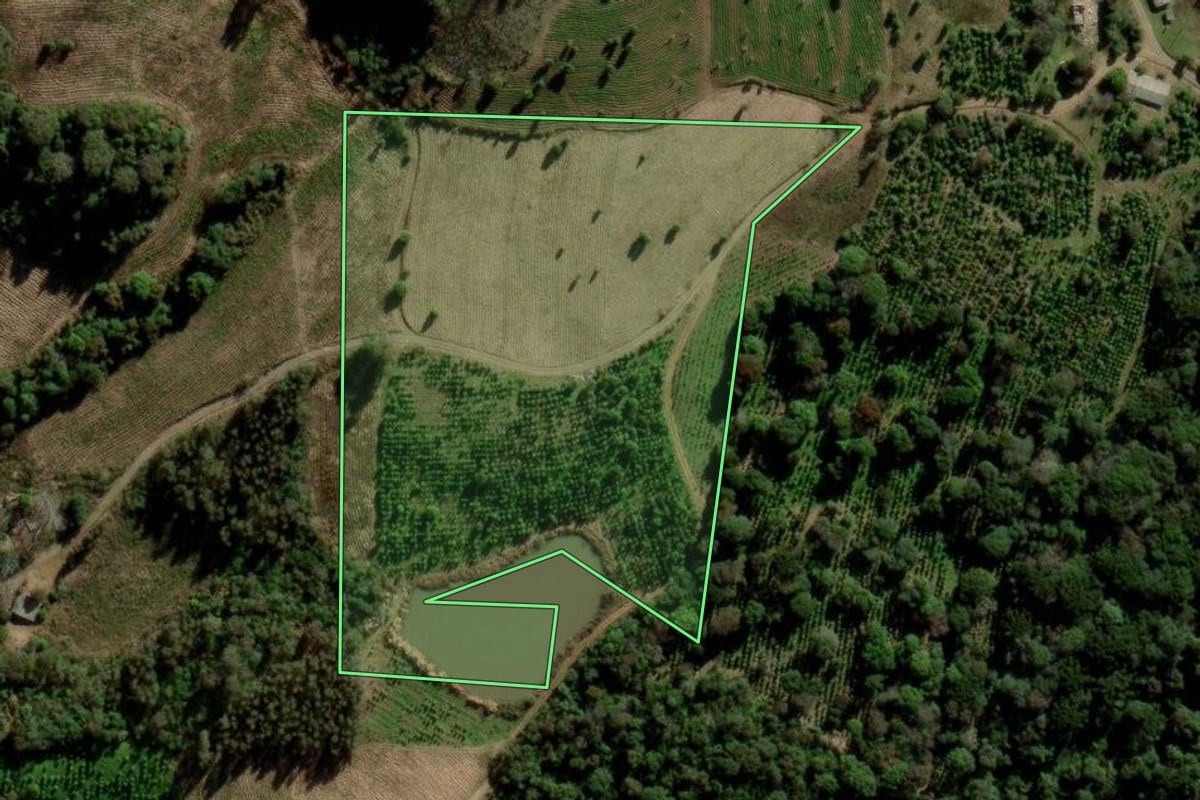 Imagem de satélite do imóvel rural em Arvorezinha (RS), com o contorno declarado no CAR desenhado por cima.