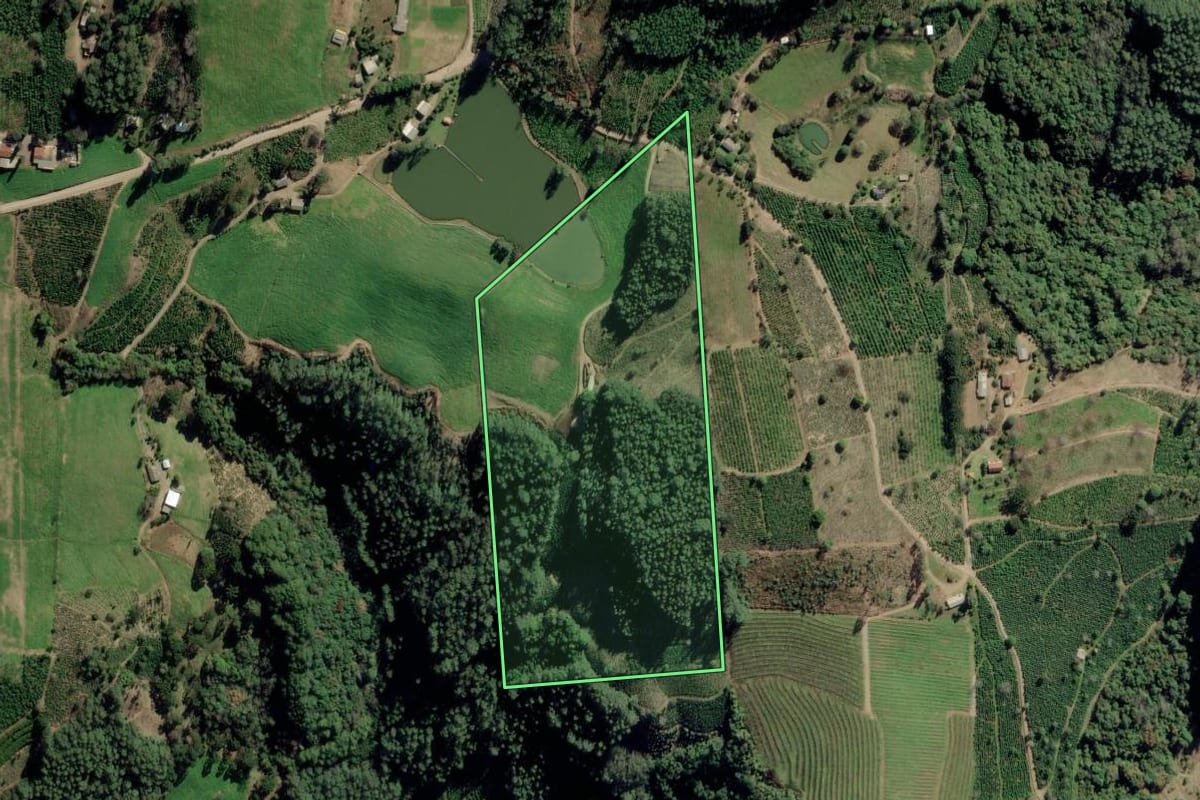 Imagem de satélite do imóvel rural em Arvorezinha (RS), com o contorno declarado no CAR desenhado por cima.