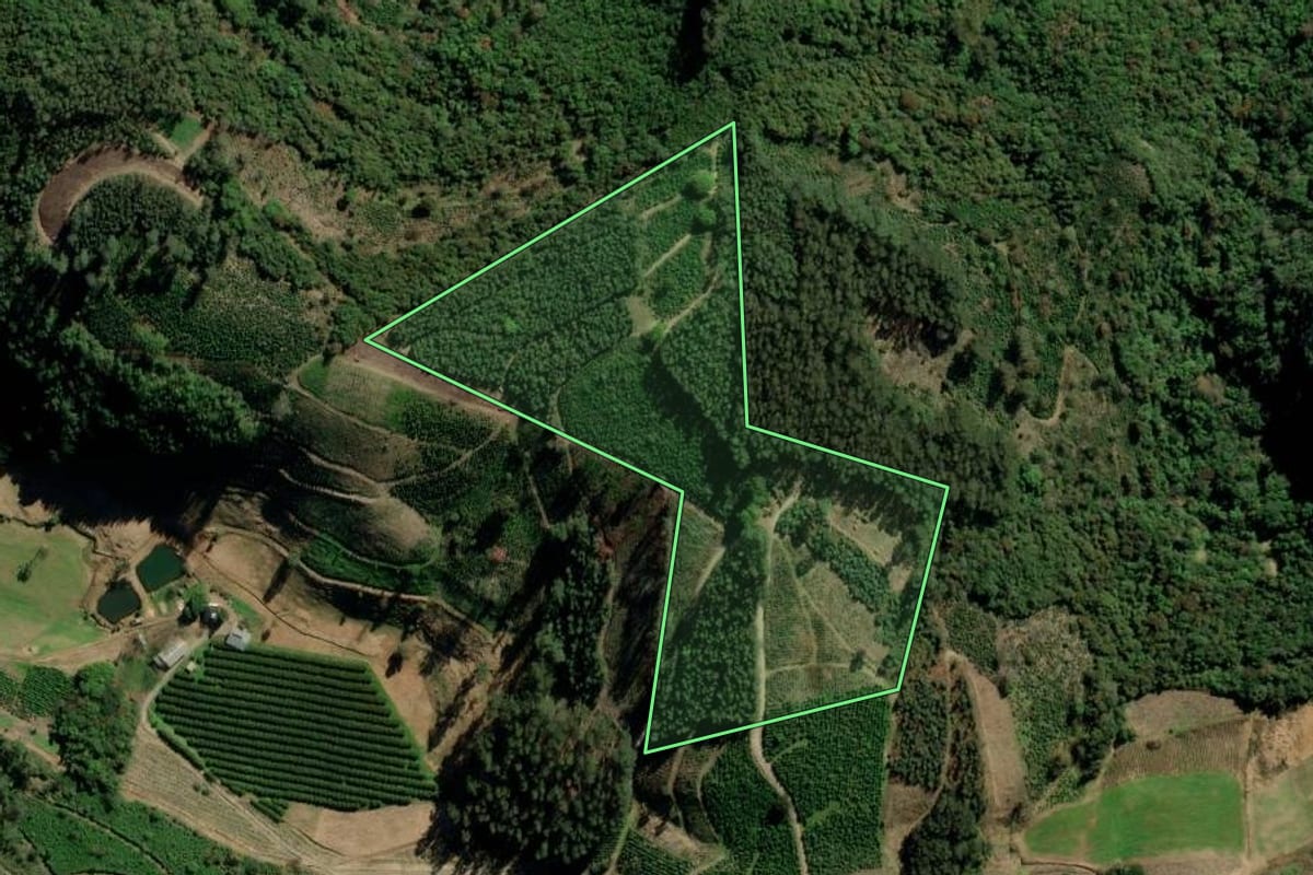 Imagem de satélite do imóvel rural em Arvorezinha (RS), com o contorno declarado no CAR desenhado por cima.