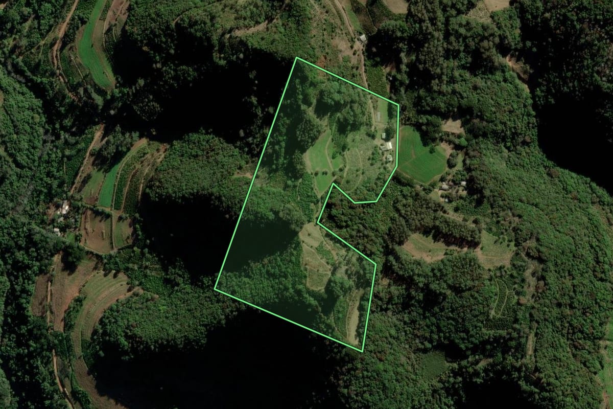 Imagem de satélite do imóvel rural em Arvorezinha (RS), com o contorno declarado no CAR desenhado por cima.