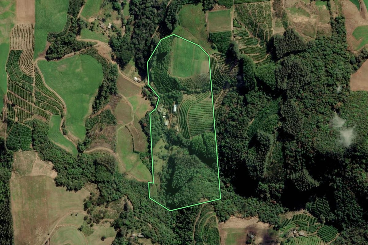 Imagem de satélite do imóvel rural em Arvorezinha (RS), com o contorno declarado no CAR desenhado por cima.