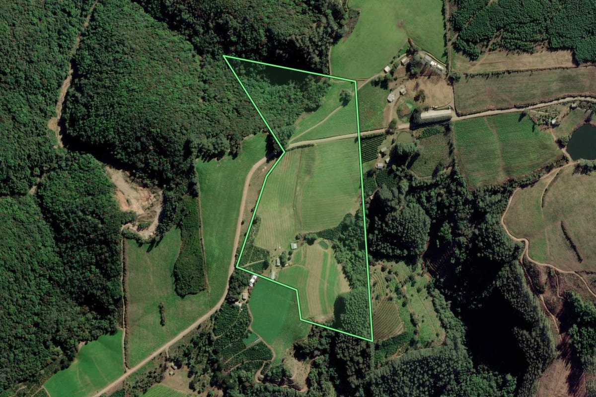Imagem de satélite do imóvel rural em Arvorezinha (RS), com o contorno declarado no CAR desenhado por cima.