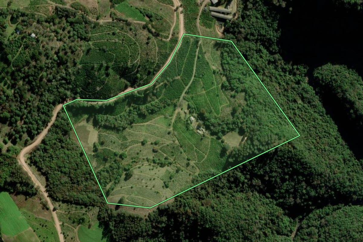 Imagem de satélite do imóvel rural em Arvorezinha (RS), com o contorno declarado no CAR desenhado por cima.