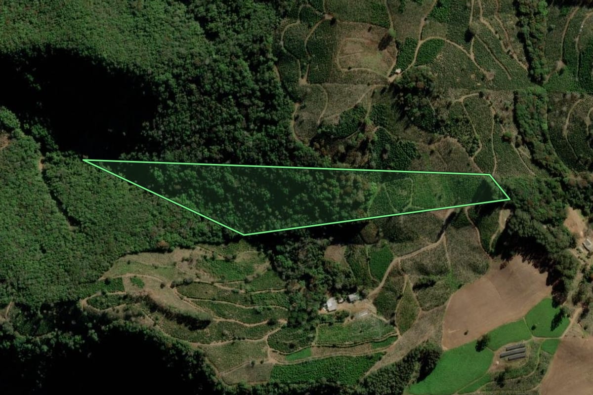 Imagem de satélite do imóvel rural em Arvorezinha (RS), com o contorno declarado no CAR desenhado por cima.