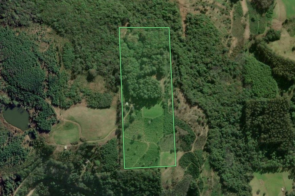 Imagem de satélite do imóvel rural em Arvorezinha (RS), com o contorno declarado no CAR desenhado por cima.
