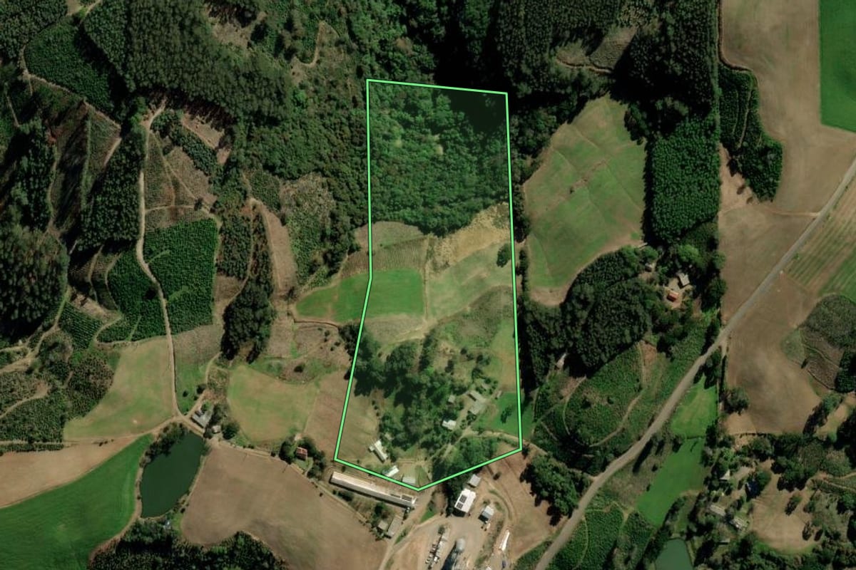 Imagem de satélite do imóvel rural em Arvorezinha (RS), com o contorno declarado no CAR desenhado por cima.