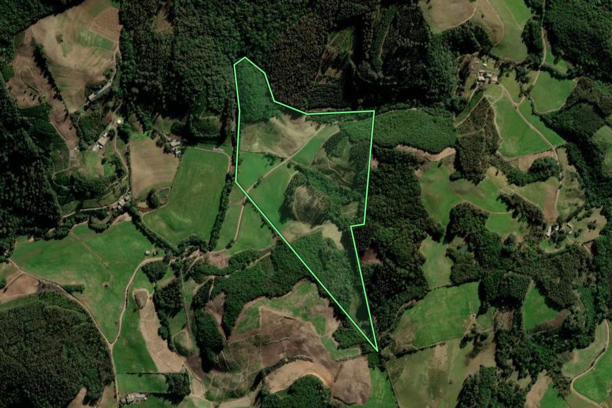 Imagem de satélite do imóvel rural em Arvorezinha (RS), com o contorno declarado no CAR desenhado por cima.