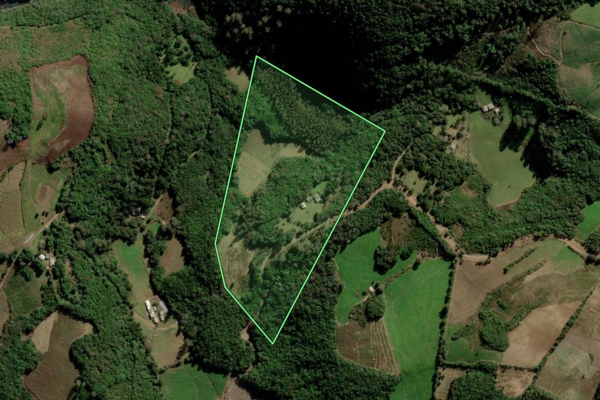 Imagem de satélite do imóvel rural em Arvorezinha (RS), com o contorno declarado no CAR desenhado por cima.