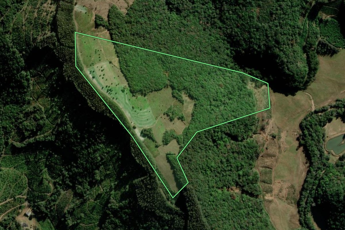 Imagem de satélite do imóvel rural em Arvorezinha (RS), com o contorno declarado no CAR desenhado por cima.